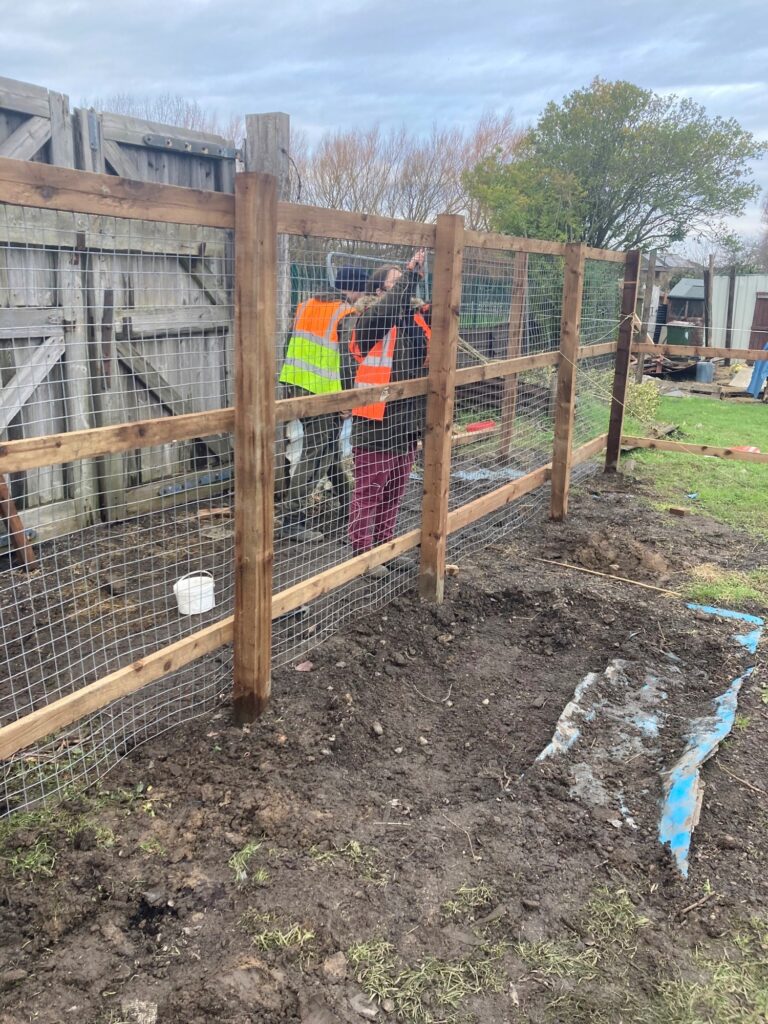 Teesville allotments 