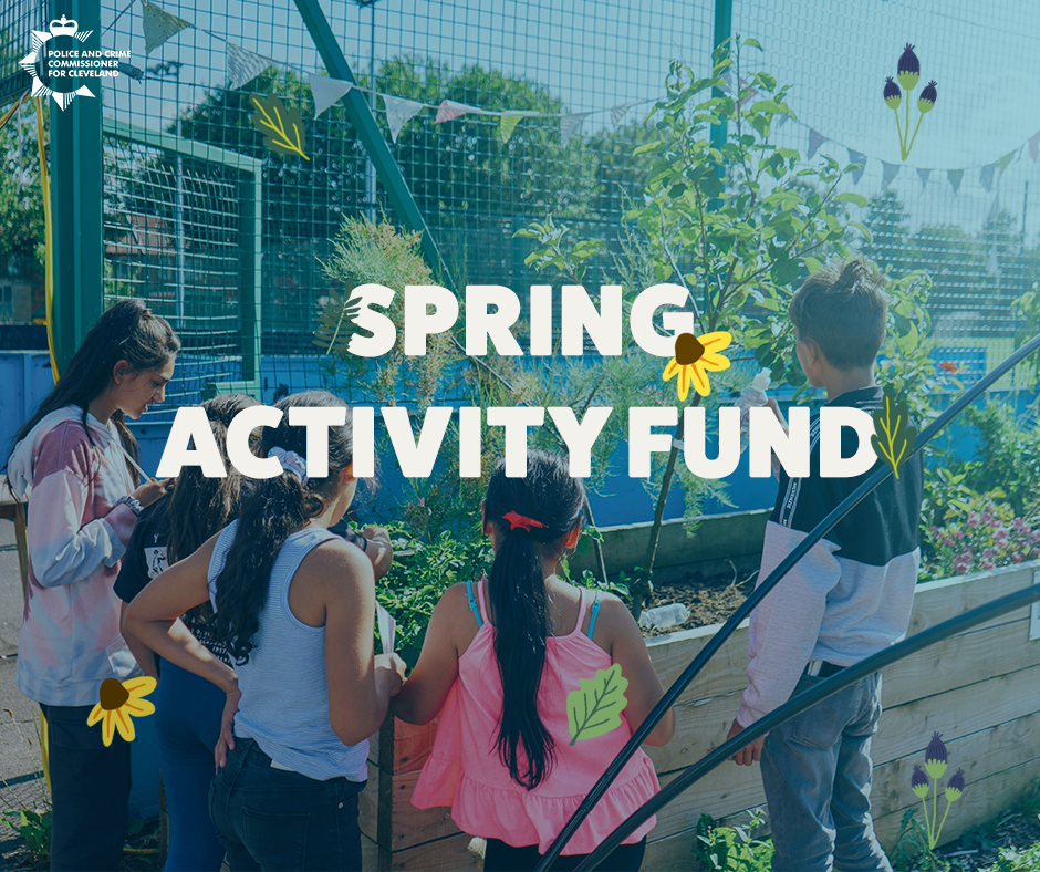 Spring activity fund 