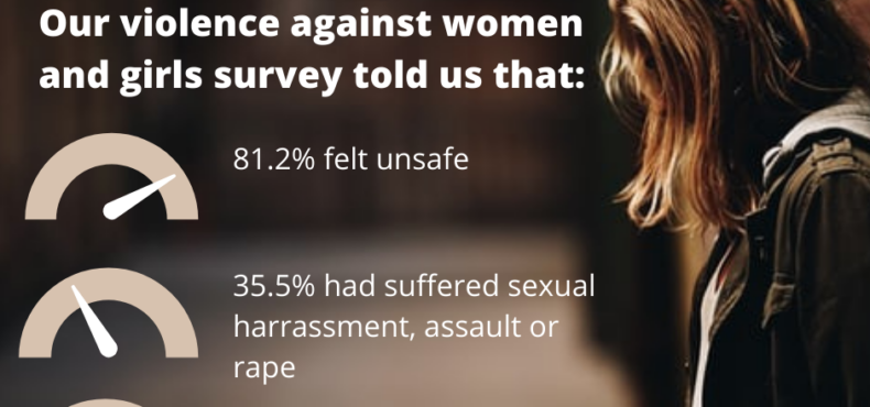 VAWG-survey-results-1