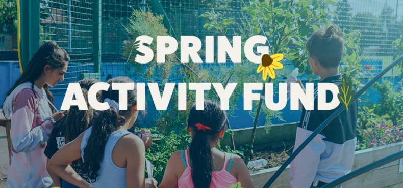 Spring activity fund