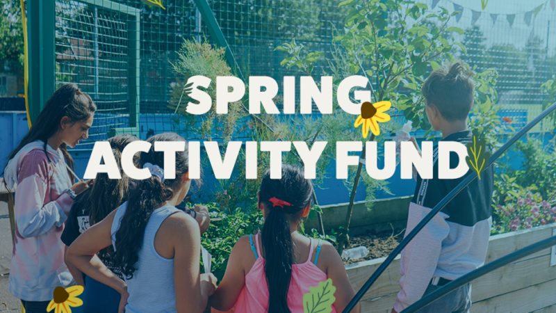 Spring activity fund